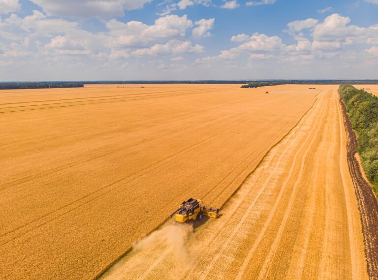 Goiás alcança superávit de US$ 5,5 bilhões na balança comercial em 2025